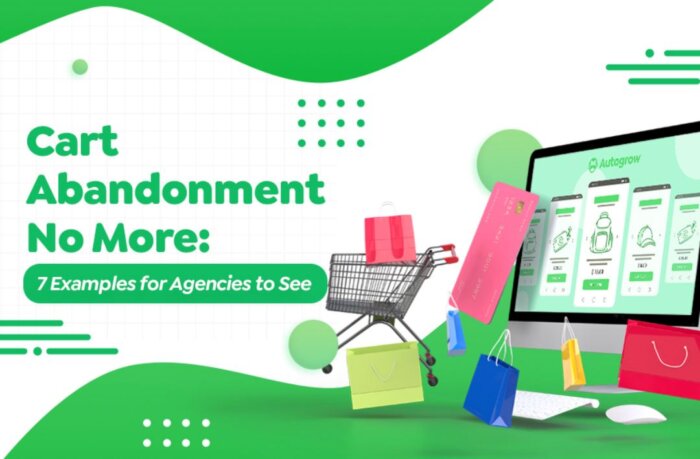 6 Successful Cart Abandonment Promotions Examples