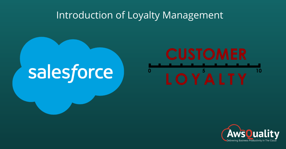 Salesforce Loyalty Program Implementation Guide